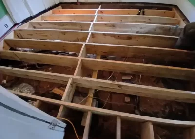Remodeler (5)